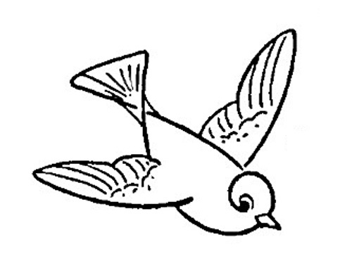 كيفيه رسم طائر يطير Archives تعلم الرسم
